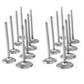 CUSTOM VALVES (CHOOSE LENGTH, SIZE, AND ALLOY TYPE) STAINLESS, TITANIUM, INCONEL, HOLLOW STEM